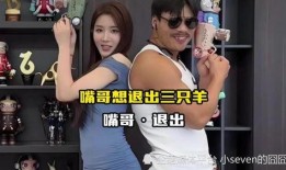 天涯爆料夫妻事件视频播放,视频播放引发热议，真相究竟如何？